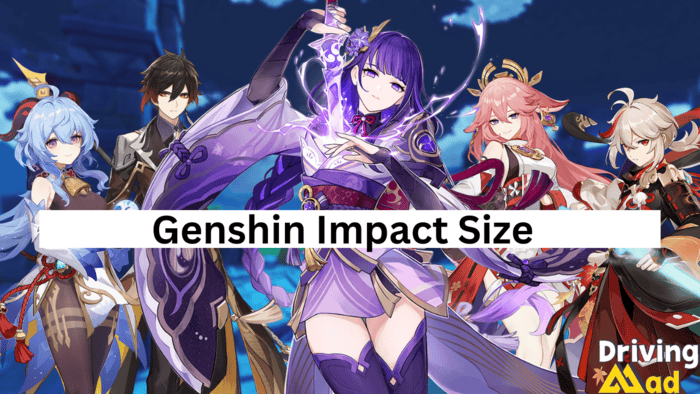 genshin impact size
