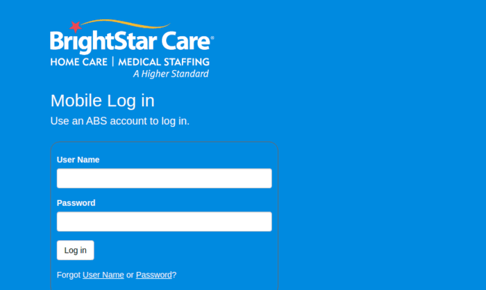 What is BrightStar Care