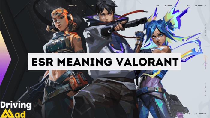 esr meaning valorant