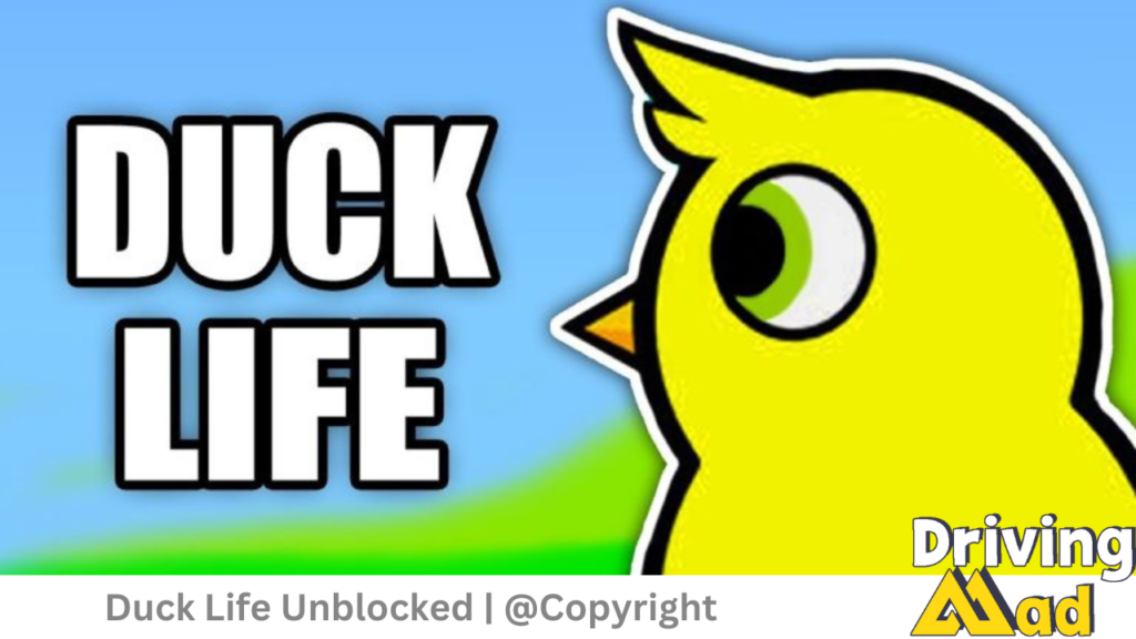 Duck Life Unblocked