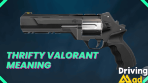 thrifty valorant meaning