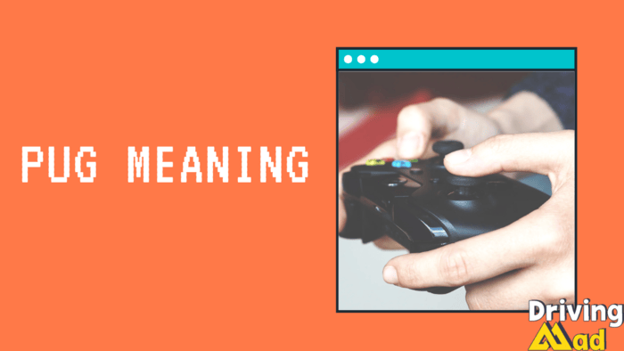 pug meaning